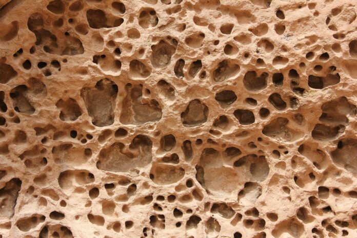 Photo by Danielle Barnes a close up of a rock with holes in it