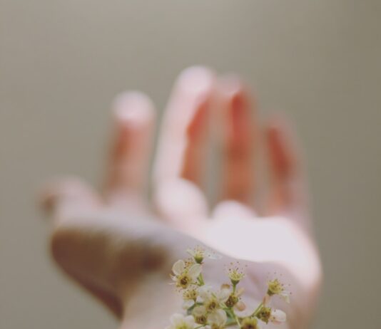 머리부터 발끝까지 우리 몸을 덮고 있는 피부 selective focus photography of white clustered flowers on left human hand