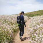 한국인 일상 속 ‘마음챙김 걷기’ 열풍… 작지만 확실한 건강 습관 만들기 woman walking between flower fields